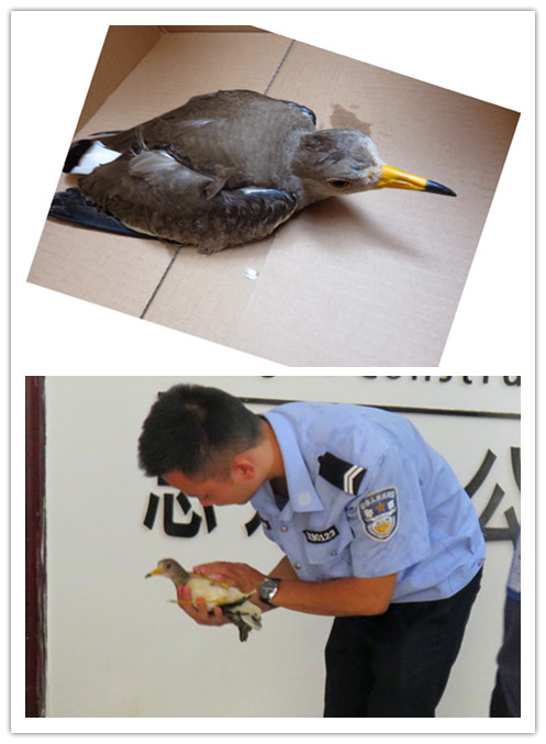 bifa·必发(中国集团)唯一官方网站