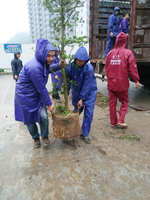 bifa·必发(中国集团)唯一官方网站