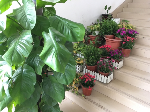 bifa·必发(中国集团)唯一官方网站