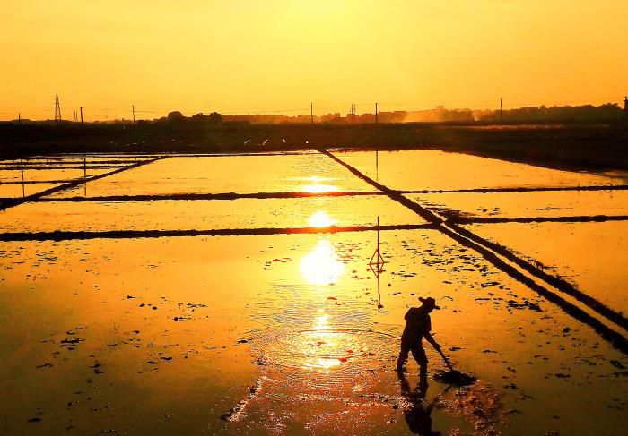 5摄影作品《耕作》获三等奖。。。。。。。。韦荣伟 摄-13768307144700.jpg