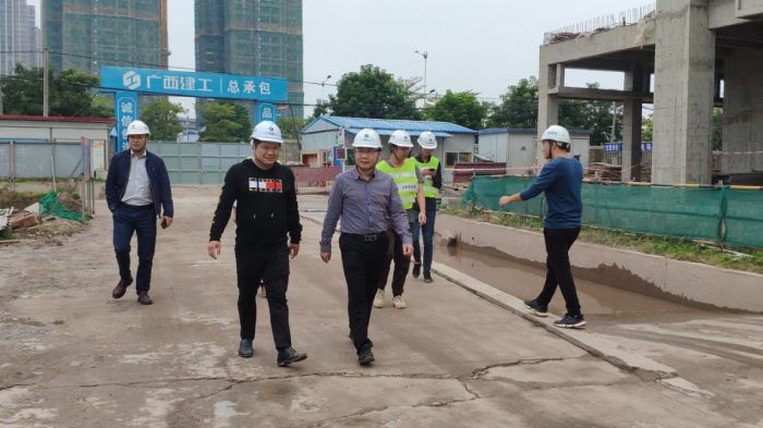 钦州松江宁越东园项目检查。。。。。。。；；；；；；莆氖 摄.jpg