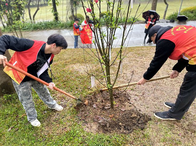 为树苗松土固基。。。。。周煜川 摄（修图）.jpg